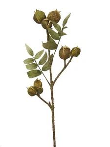 (01541-34015) ARTIFICIAL FLOR VARA HOJAS FRUTOS HORN NUEZ NUECES NOGAL VERDE - Imagen 1 de 2
