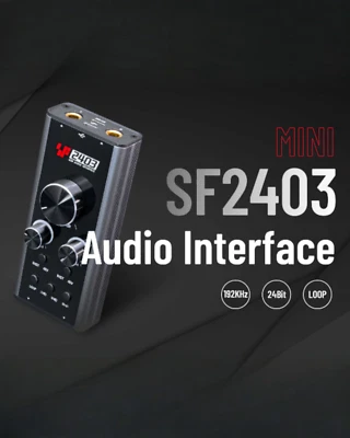 Simplefly SF2403 Analog Dual-Channel 24bit/192kHz AD/DA Converter w/ USB-C - Image 1 of 4