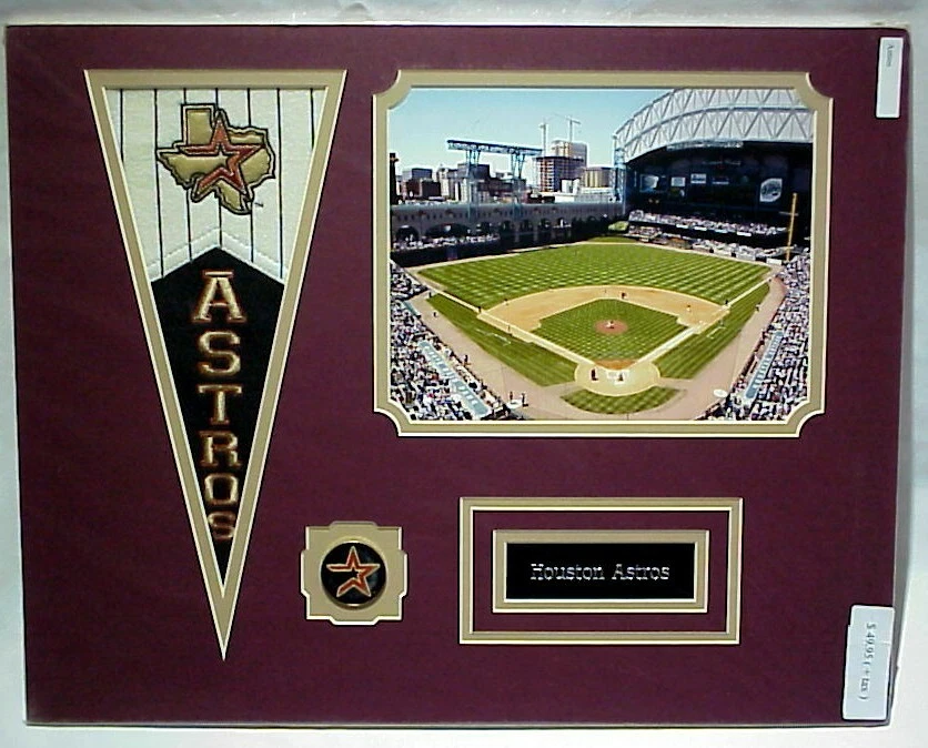 Houston Astros Picture Photo, Name Plate, Pin & Pennant Flag Collage 16x20  B18 - Image 1 of 1