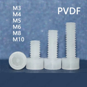 PVDF Plastic Hex Socket Bolts Cap Head Screws DIN912 M3 M4 M5 M6 M8 M10 - Picture 1 of 5