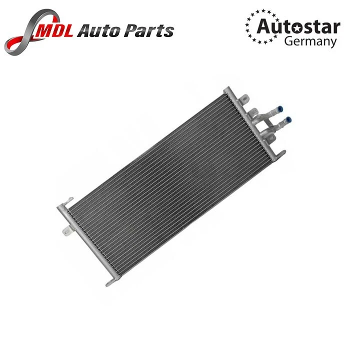 AutoStar Germany AUXILIARY RADIATOR G63. G65 4635000202 - Image 1 of 1