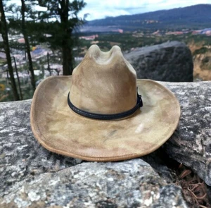 Fallout Series Coop’s Ghoul Sombrero Coopers Sombrero de Vaquero Apocalíptico Elegante Juegos con disfraces - Imagen 1 de 10