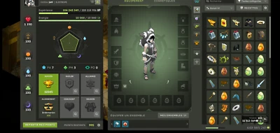 compte dofus 200 full parcho 440M Kamas  Orukam+4persos Imagiro ( 3lvl 200+199) - Photo 1/2