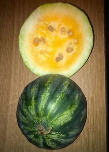 Orangeglo Watermelon - Wassermelone - 5+ seeds - Samen - Cl 019 - Picture 1 of 2