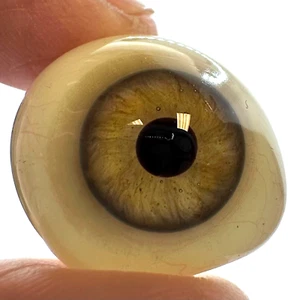 Antique Beautifully Detailed Green Hazel w/Grey Ring Prosthetic Eye Actual Glass - Picture 1 of 13
