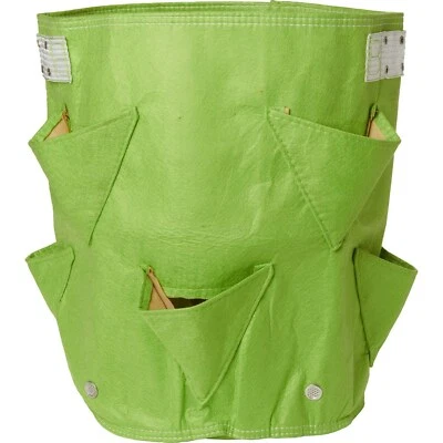 Plantar de fresa Bloem Bagz tiene capacidad para 38 cuartos de galón de suelo, material reciclado miel Foto 1 de 3