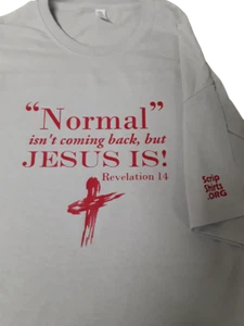 Normal Isn't Coming Back - Transferencia de planchado para camiseta y otras telas - Imagen 1 de 3
