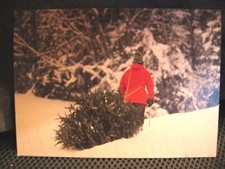 NIB 18 Cards / Env MAN PULLING X-MAS TREE Box Christmas Cards 