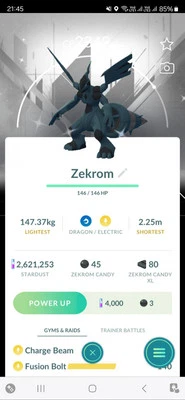 Pokémon Shiny Zekrom ( Special BG ) GO - Image 1 of 2