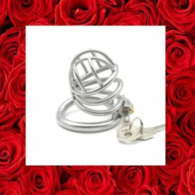 Jaula de castidad para hombres dispositivo de sujeción de cinturón de bloqueo de metal de acero inoxidable Foto 1 de 4