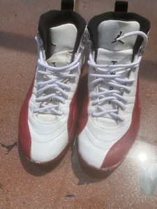 Size 13 - Air Jordan 12 Retro 2009 Cherry - Picture 1 of 9
