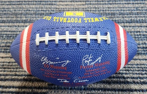 Rare PEYTON & ELI MANNING MAXWELL CLUB 2003 AWARD WINNERS Mini Souvenir Football Cover