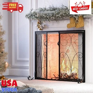 2-Panel Fireplace Screen with Doors Handcrafted Wrought Iron Decorative Mesh - Picture 1 of 7