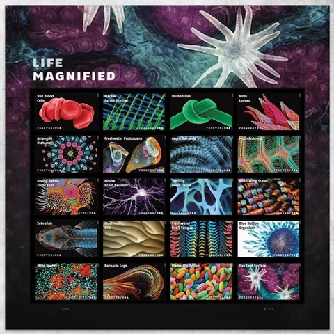 US #5802u Life Magnified Imperf Sheet Pane of 20 VF NH MNH Cover