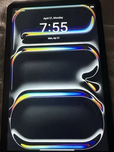 Black Pro 1TB 11 Inch Display - Picture 1 of 5