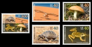 SIERRA LEONE 2025 SET 5V - PALESTINE - TURTLE TURTLES OWLS FROGS MUHROOMS - Picture 1 of 1