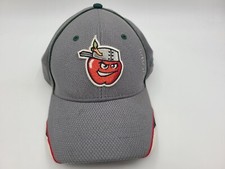 Fort Wayne TinCaps OC Sports Adjustable Hat Cap Dad Men Women MiLB Baseball Gray