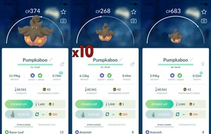 10x Pumpkaboo Pokemon Bundle !! Good Chance of Lucky and Good IVs !! Go - Picture 1 of 1