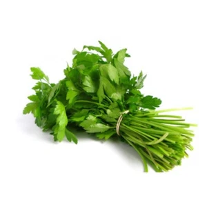 800 SAMEN RIESEN-PEZILIE AUS ITALIEN - Bild 1 von 1