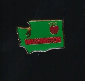 Vintage Enamel Travel Pin with clasp Washington State - Picture 1 of 1