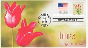 24-190, 2024, Flowers First Day Cover, Standard Postmark, Berkeley CA,, Tulips, - Picture 1 of 1