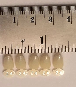 Coronas temporales dentales de policarbonato 5 piezas #24 - Imagen 1 de 5