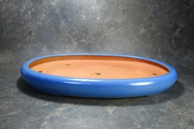 Olla Bonsai Japonesa Genuina "Reiho" de Tokoname. Foto 1 de 4