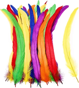 Natural Rooster Tail Feathers 50Pcs 10-12Inch Long Rooster Coque Tail Feathers B - Picture 1 of 7