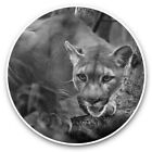 2 x Vinyl Stickers 15cm (bw) - Mountain Lion Wild Animal  #39298