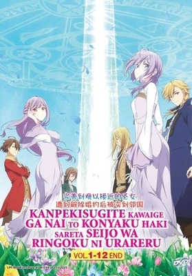 KANPEKISUGITE KAWAIGE GA NAI TO KONYAKU HAKI SARETA SEIJO WA RINGOKU- DVD 12 EPS - Image 1 of 4