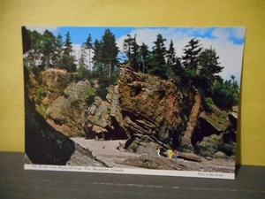 The Rocks,Hopewell Cape,New Brunswick,Canada,Vintage Postcard - Bild 1 von 2