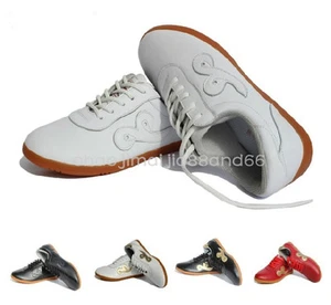 Professional Wushu KungFu Martial Arts Tai Chi WingChun Exercises Leather Shoes - Picture 1 of 8