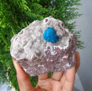 Bright Blue Cavansite Crystal On Matrix wagholi Pune Mineral - Picture 1 of 5