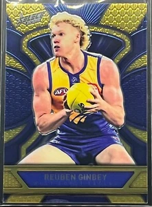 Tarjeta 2025 AFL RUBEN GINBEY LUMINOUS DRAGON SCALES EAGLES #LD196 d#260/799 - Imagen 1 de 2
