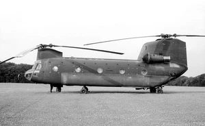 295th Avn Co, Ejército de Estados Unidos, CH-47A, 74-22291 en Middle Wallop, '82 - Nego original en blanco y negro - Imagen 1 de 1