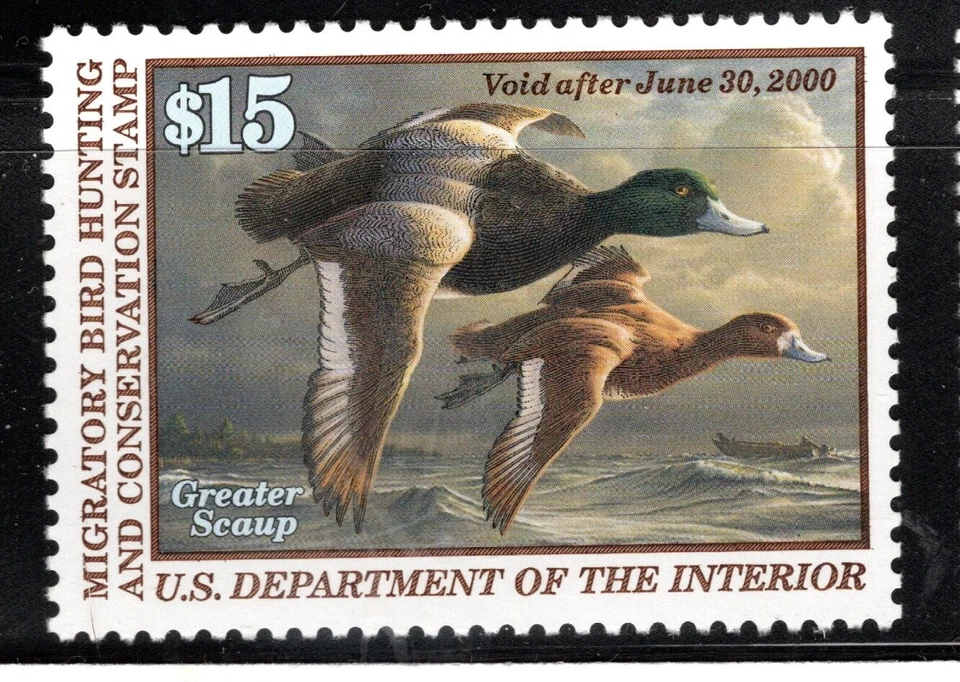 US Stamp Scott #RW66, $15, 1999 Federal Duck Hunting Stamp, MNH, SCV$40.00 - Image 1 of 1