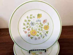 Platos de almuerzo Corelle Spring Meadow 8 1/2" - Juego de 8 - Imagen 1 de 3