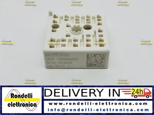 SKIIP 13NAB065V1    SKiiP 13NAB065V1    (DHL EXPRESS 1 DAY DELIVERY) - Imagen 1 de 1