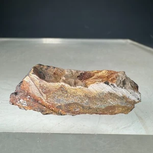 Rich Native Gold, Acanthite: De Lamar Mining District, Owyhee County, Idaho - Picture 1 of 4