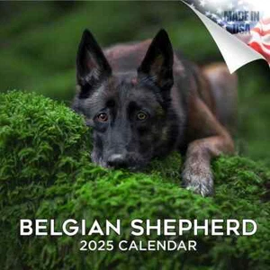 Belgian Shepherd Wall Calendar 2025 Animal DOG PET Lover Gift - Picture 1 of 2