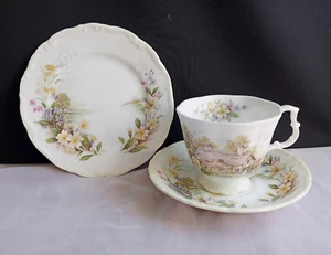 Royal Albert Cottage Garden Year Series SPRING Trio Footed Cup Saucer Plate - Picture 1 of 21