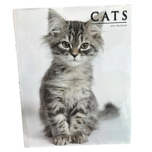 Cats By Alice Buckland 2009 Oversized Hardback Book 15” X 12” - Picture 1 of 20
