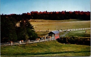 Postcard Wilmington Vermont Private Covered Bridge Vintage Unposted - Picture 1 of 2