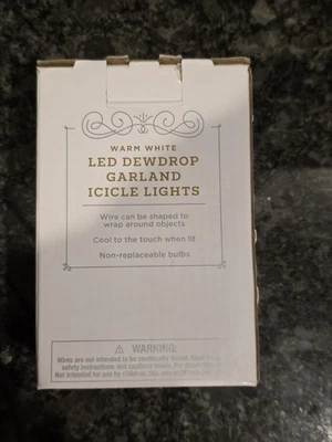 Cadena de luces LED Wondershop Rocío 30ct blanco cálido alambre de cobre 10'9" ¡BODAS! Foto 1 de 4