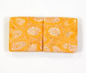 Par de piedras preciosas fosilizadas cabujón radiante coral fósil natural de 24 quilates DH = 389 - Imagen 1 de 5