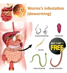 Parasite CLEANSE KIL PARATOX DETOX Candida Mimosa Pudica Wormwood BLACK WALNUT - Picture 1 of 2