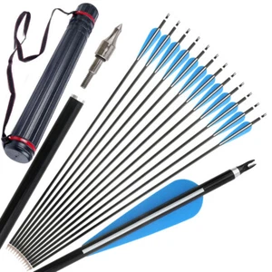 30" Archery Aluminum Arrows Quiver SP300 Compound Recurve Bow Hunting Target - Picture 1 of 28