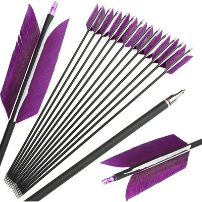 30" Archery Carbon Arrows 4 Feathers Flu Flu Recurve Bow Longbow Hunting Target - Image 1 of 4