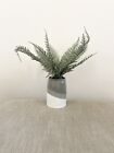NEXT Artificial Fern In Ceramic Vase/home Office Kitchen Decorative Plant Gift