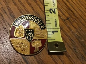 SPILLA SPILLA HADASSAH SMALTO ISRAELE GIUDAICA ovale 1 1/2 " X1" - Foto 1 di 2